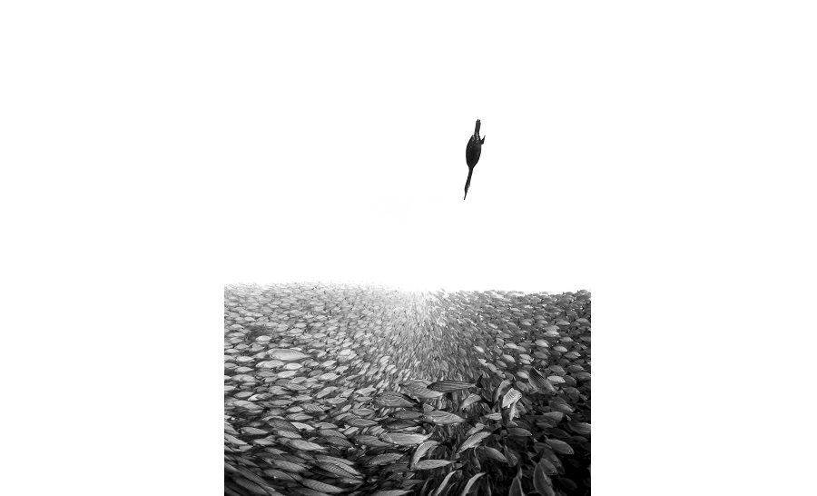 © henley spiers upy2019