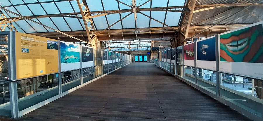 Ausstellung Eintauchen Ins Herz Des Korallenriffs David Doubilet Sncf Gares Connexions Ozeanographisches Museum Monaco 15 Februar 15 April Bahnhof Nizza