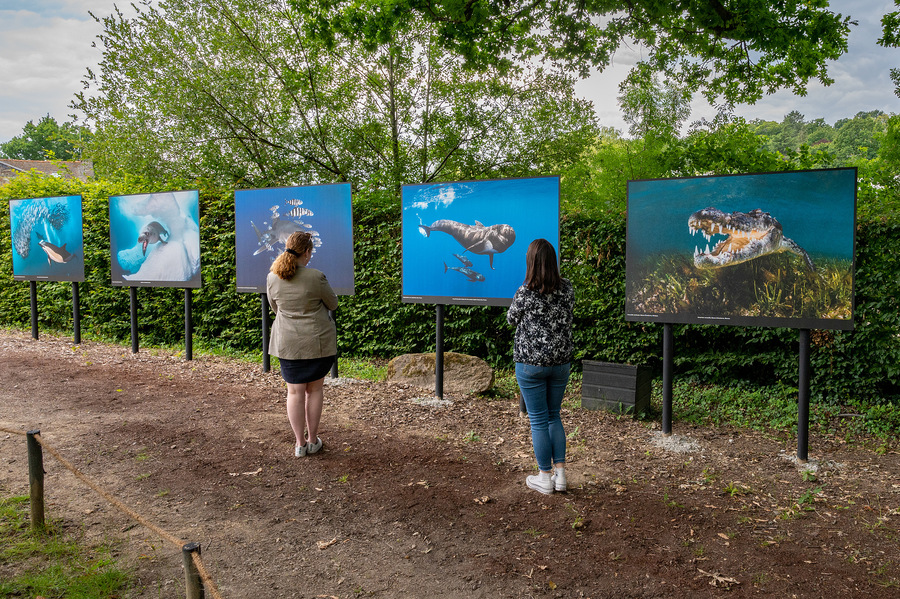 Expo Greg Lecœur Festival Foto La Gacilly