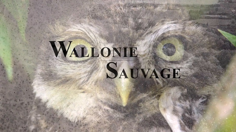 Wilde Wallonie