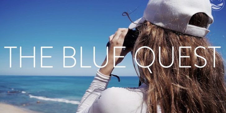 Die Blaue Suche 728x364
