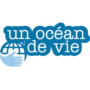 Ozean Des Lebens