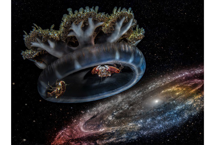 Hm1 Unterwasserkunst Michal Stros Andromeda(1)
