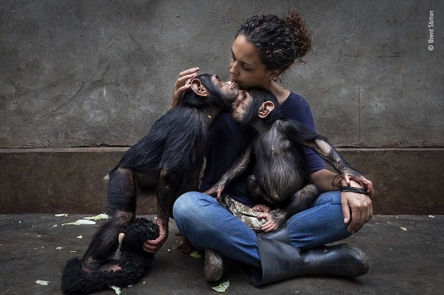 © Brent Stirton, Wildlife Photographer of the Year
