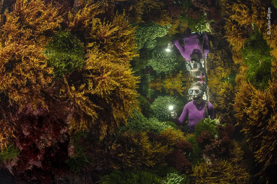 © Justin Gilligan, Wildlife Photographer of the Year