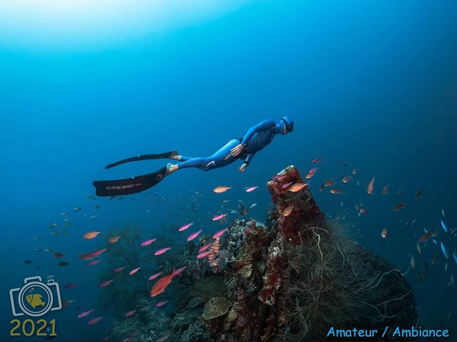 1. Preis Ambiente Amateur. © Alexandre Hache
