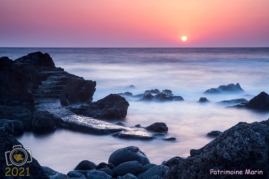2. Preis Meereserbe. © Pietro Cremone