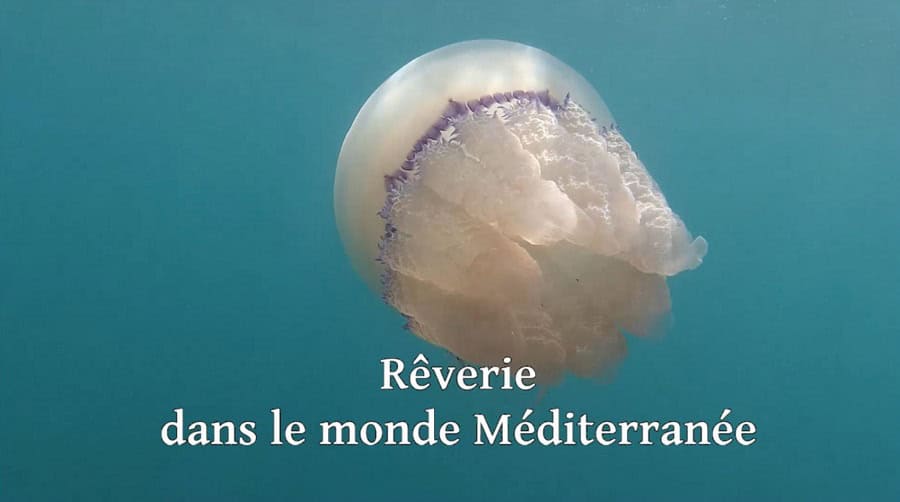 Ve 02 Arnault Leclair Traum im Mittelmeer 3. Preis Video Hoffnung