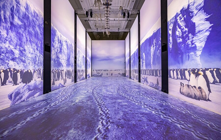 Exposition Mission Polaire, Ozeanografisches Museum von Monaco