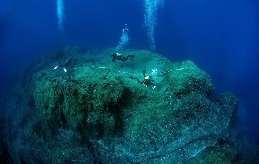 Thirdplace Naturebasedsolutions Oceandiscoveries Nuno Vasco Rodrigues Portugal 900x570
