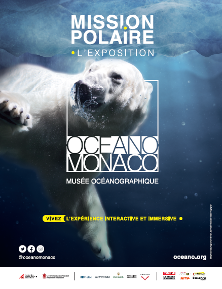 Poster Polarausstellung 438x570
