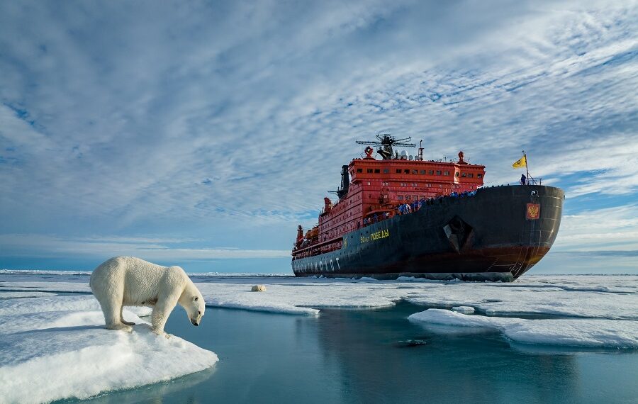 Dmitry Kokh C 900x570