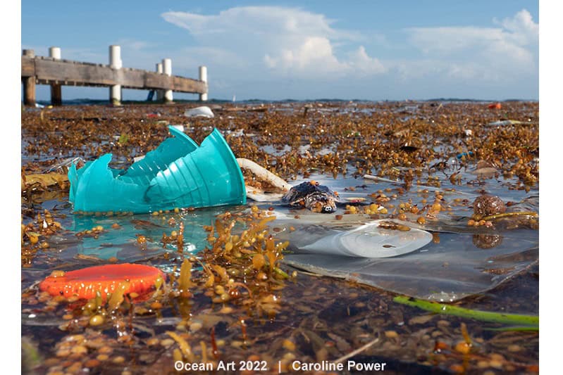 2. Unterwasserschutz Caroline Power Ertrunken in Plastik