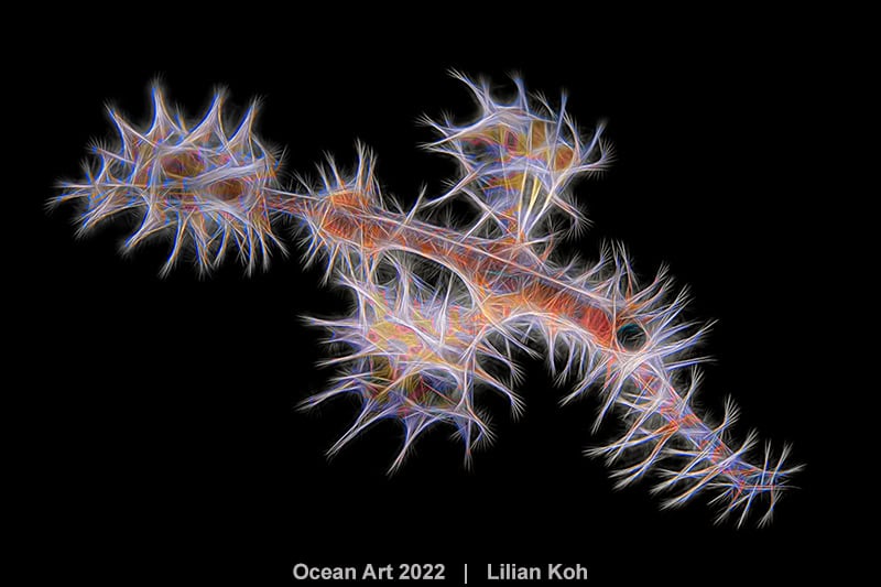 3. Unterwasserkunst Lilian Koh Löwenzahn