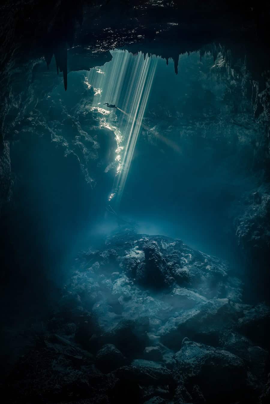 Wod2023 Foto Wettbewerb Unterwasserlandschaften Ehrenvolle Erwähnung Fan Ping