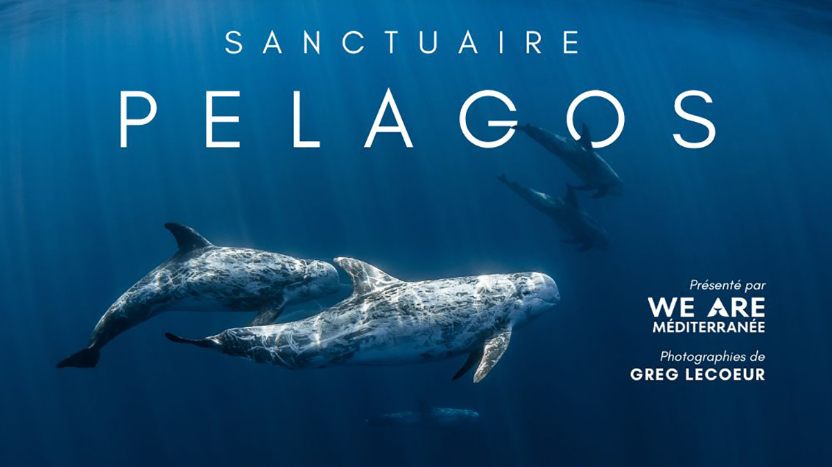 Projet Expo Pelagos Final 1
