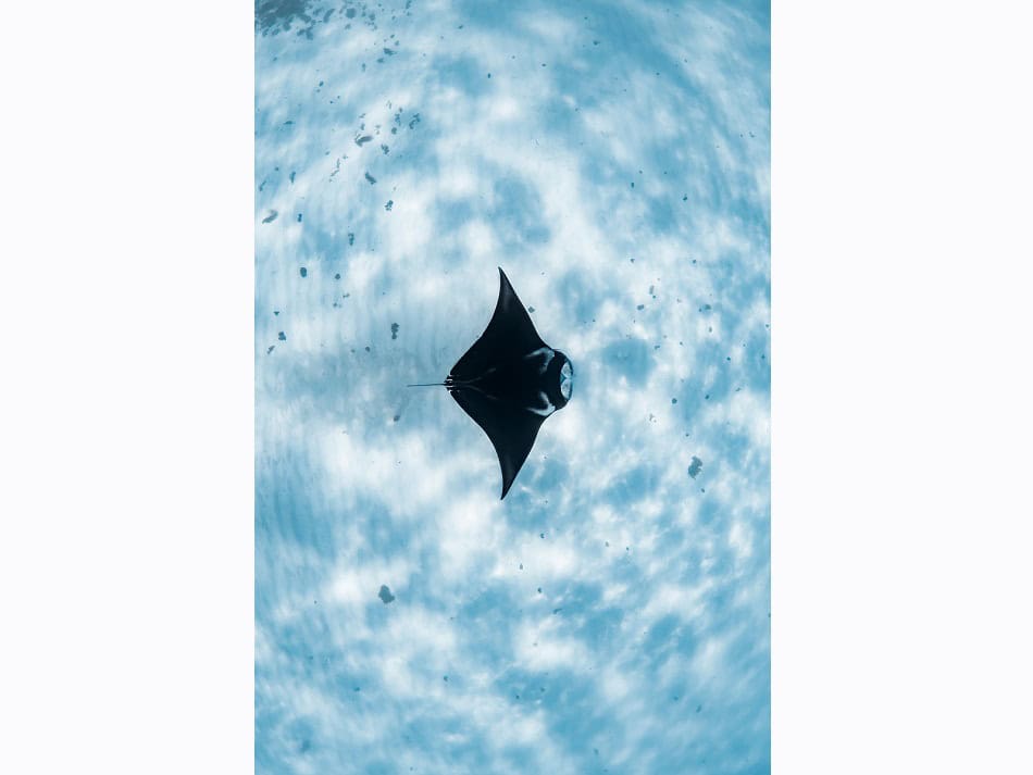 Mh1 Portfolio 2 Laura Gourgas Dpg Masters 2024