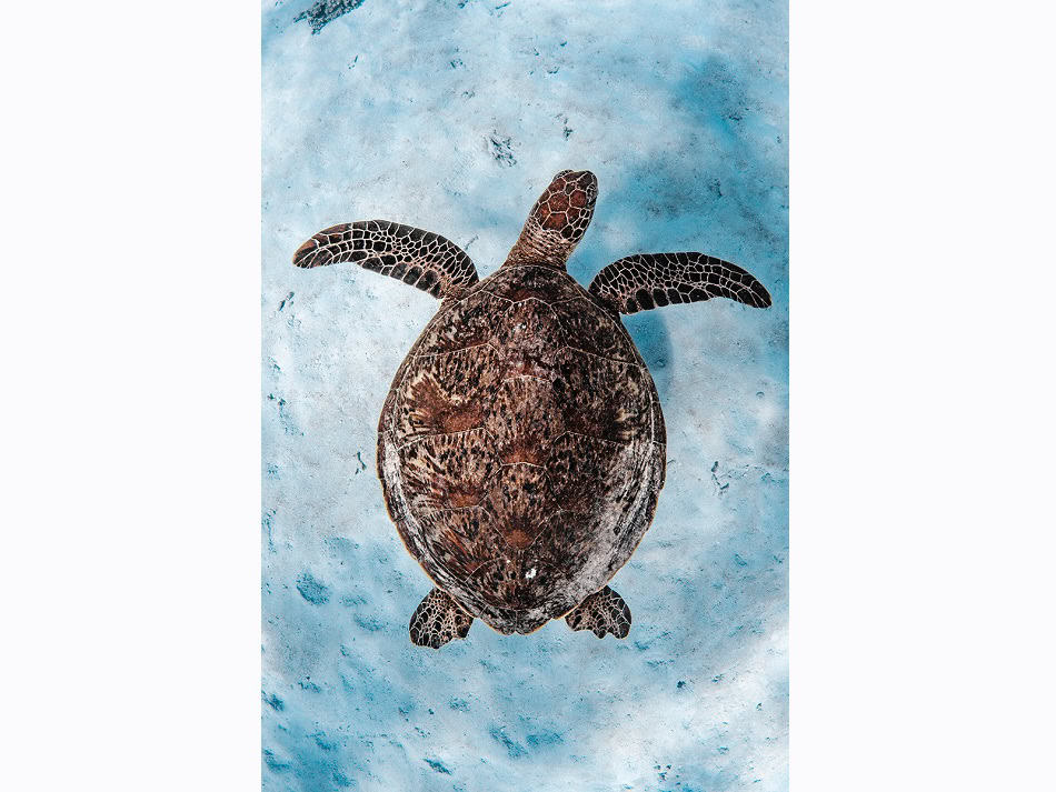 Mh1 Portfolio 3 Laura Gourgas Dpg Masters 2024