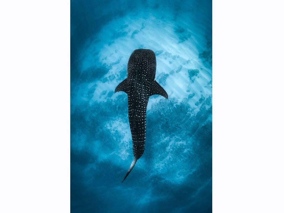 Mh1 Portfolio 4 Laura Gourgas Dpg Masters 2024