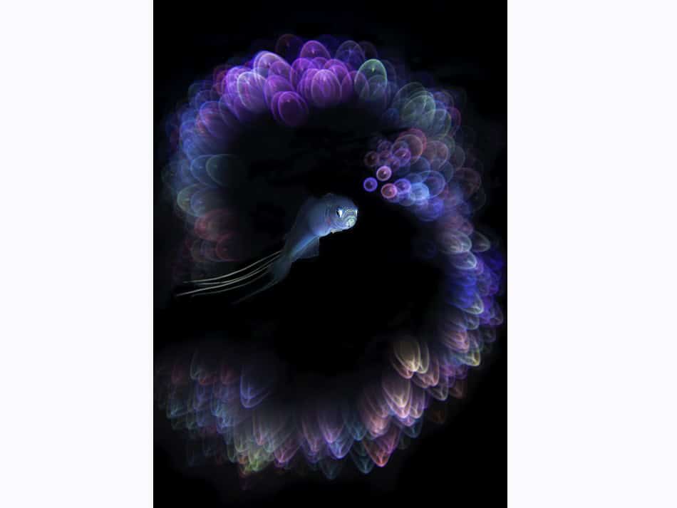 Ocean Art 2024 Digitale Kunst 1 Unkoo Kim