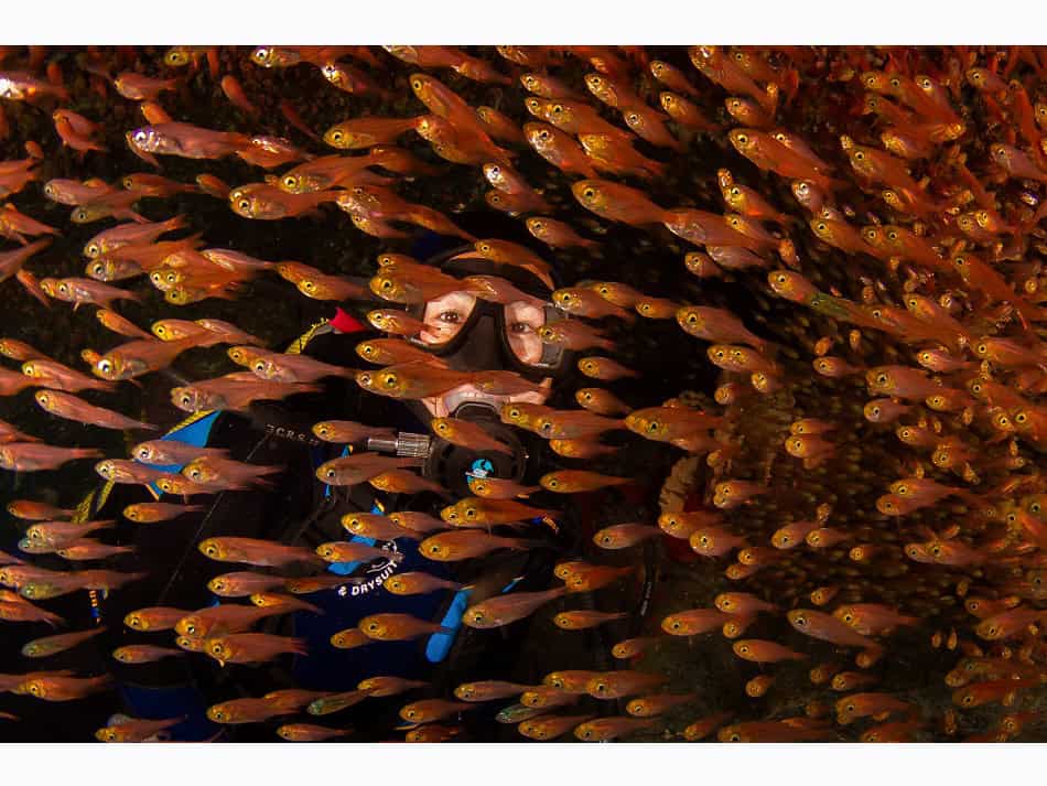 Ocean Art 2024 Weitwinkel 3 Todd Aki