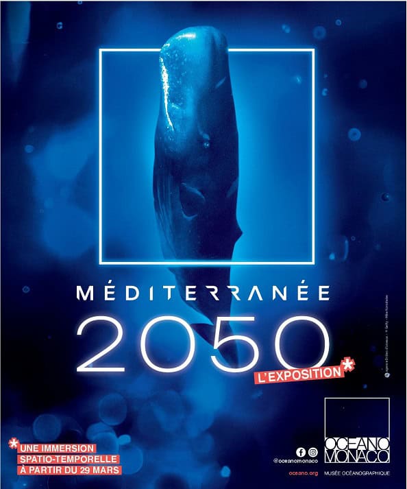 Ausstellungsplakat Mittelmeer 2050 Institut Océanographique de Monaco ohne Partnerband