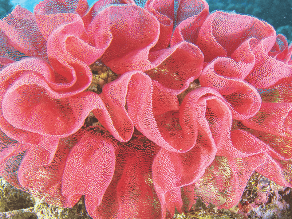 Aquapixel (1) (1)