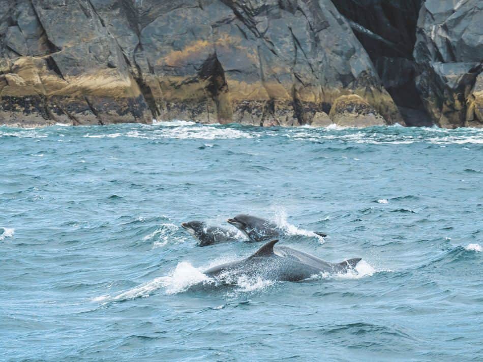 Blasket 9