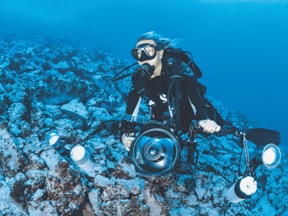 Malpelo (2)