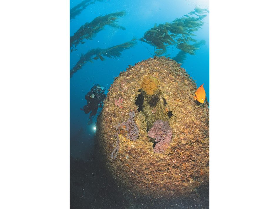 Santa catalina 4