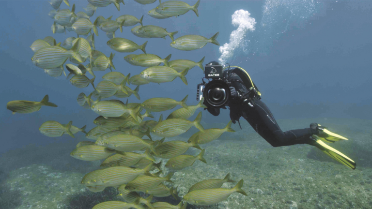 Test couverture