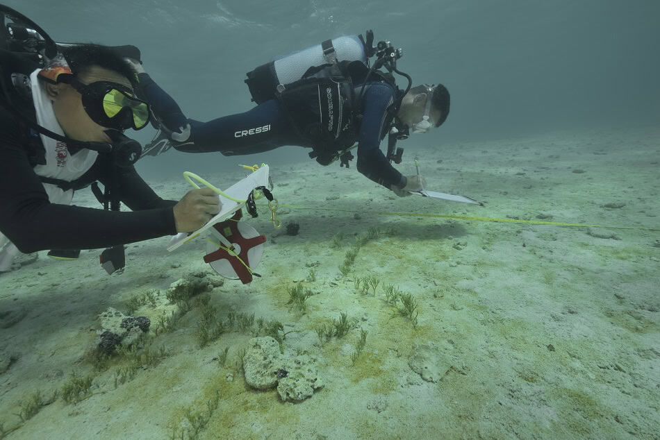 Atoll taiaro pascal kobeh 2