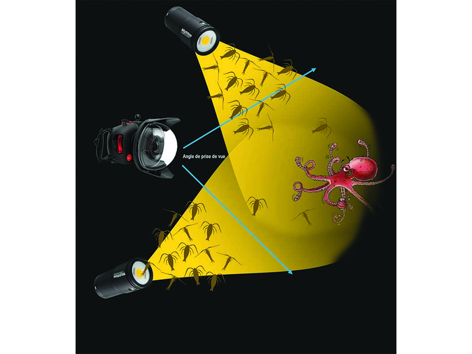 Aquapixel Illustration