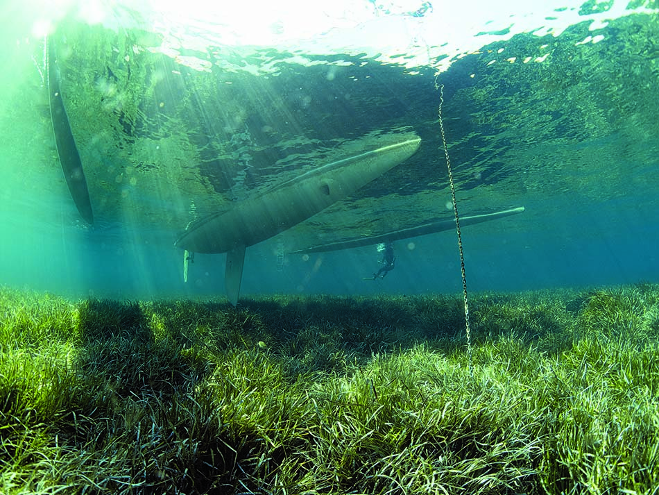 Posidonia Boot