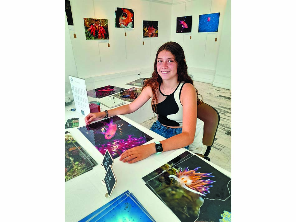 Shannon Ausstellung
