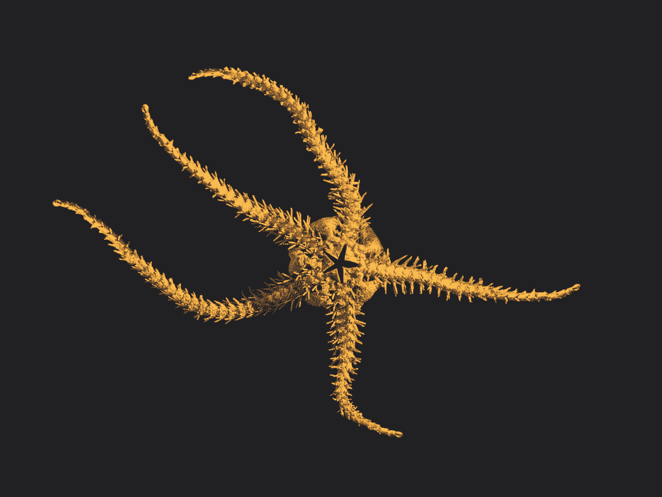 DNA (6)