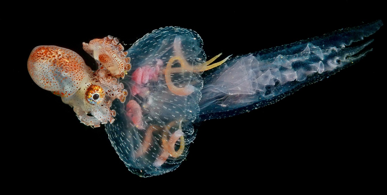 Dsc 5329