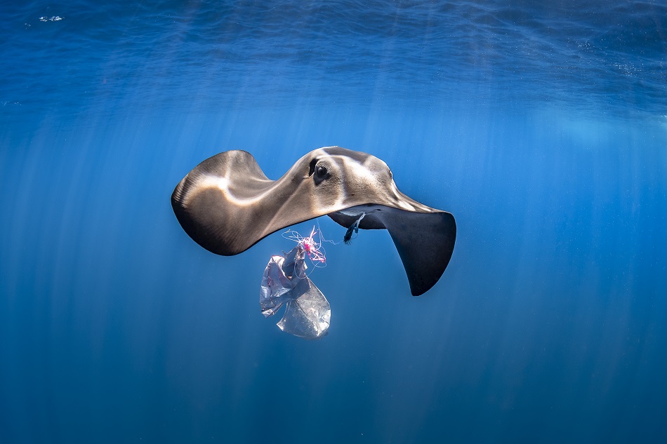 Expedition Pelagos anthropogener Druck Umweltverschmutzung dsc 3618