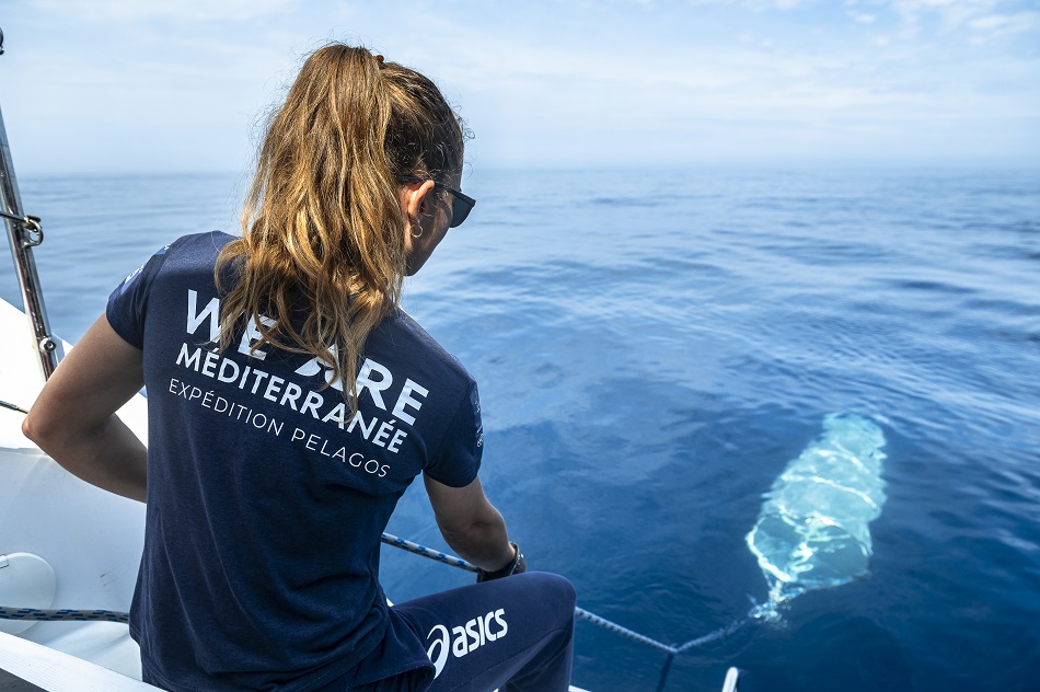 Expedition pelagos 7