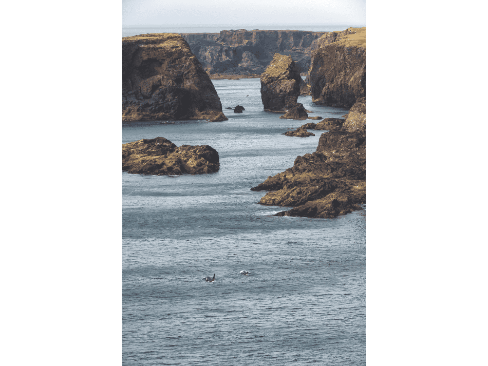 Schottland (3)