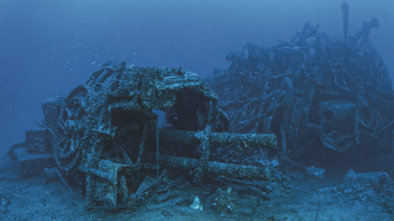 Plongez! couverture