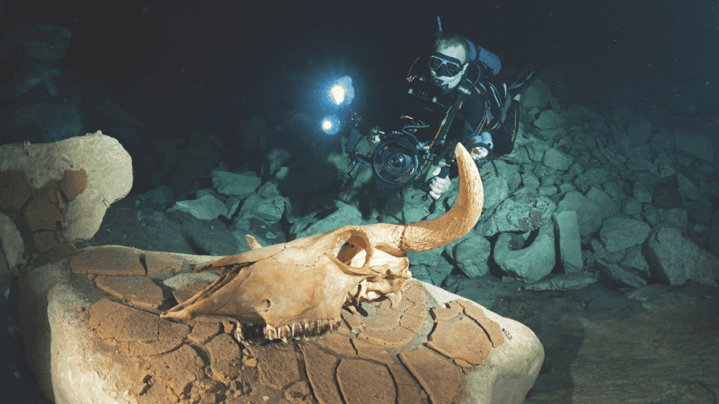 Cenotes couv (3)