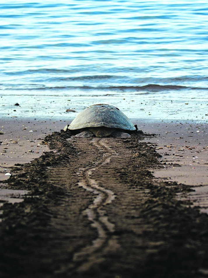 Strandabfahrt