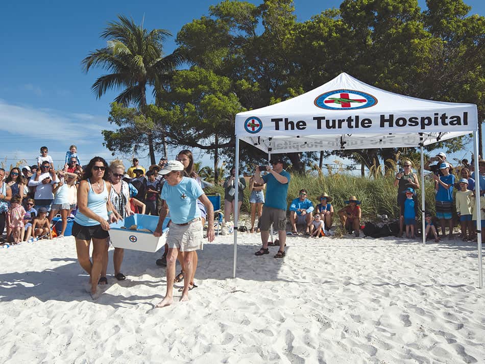 Tauchen Keys Florida 3