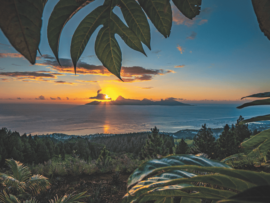 Tuamotu (10)