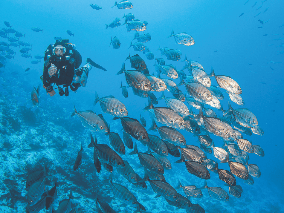 Tuamotu (5)
