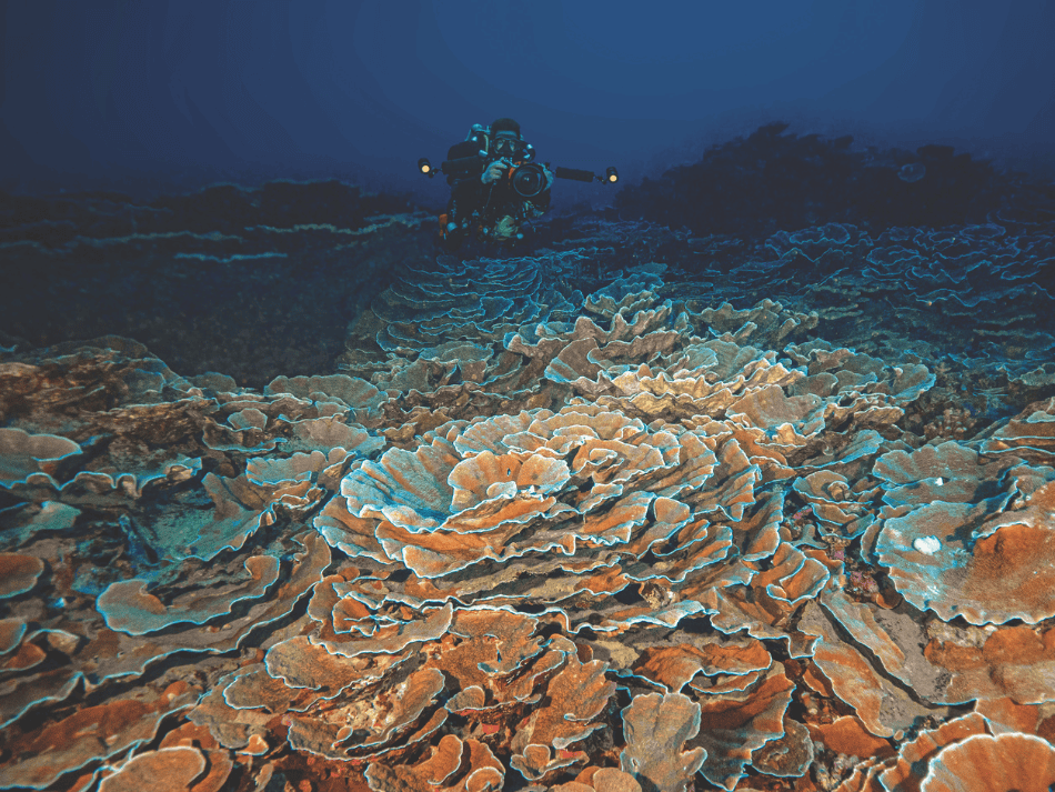 Tuamotu (7)