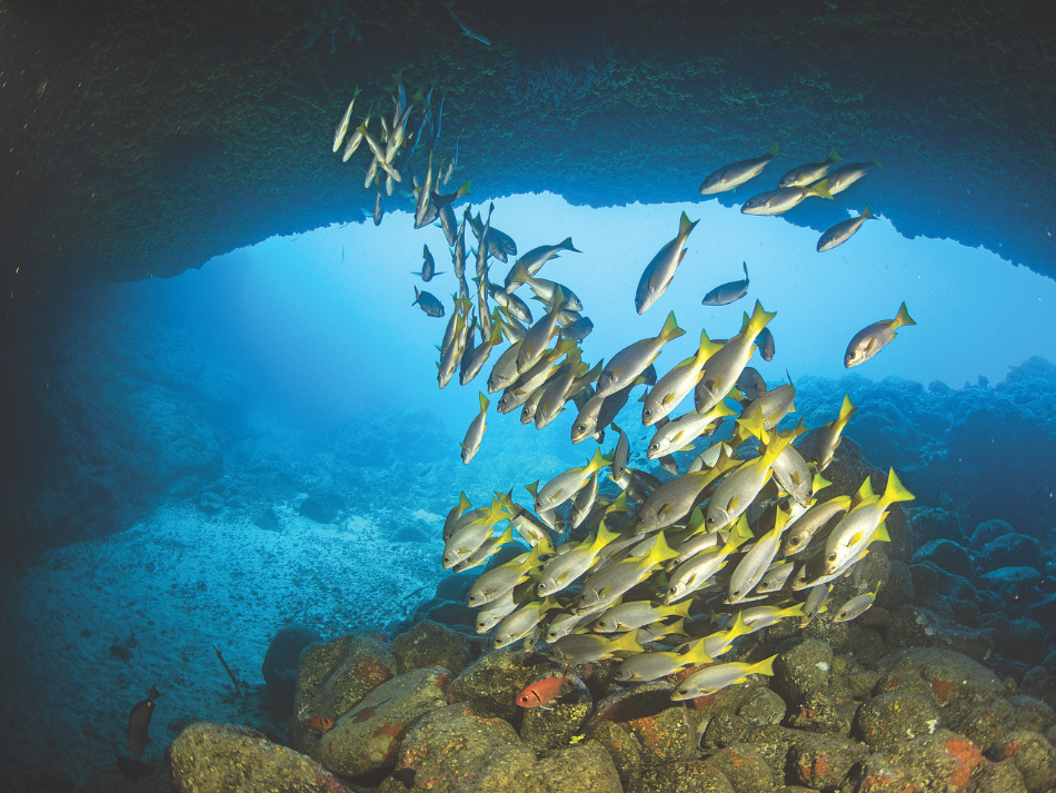 São Nicolau (11)
