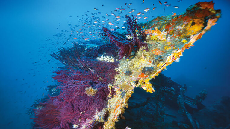 Epave sous marine corse