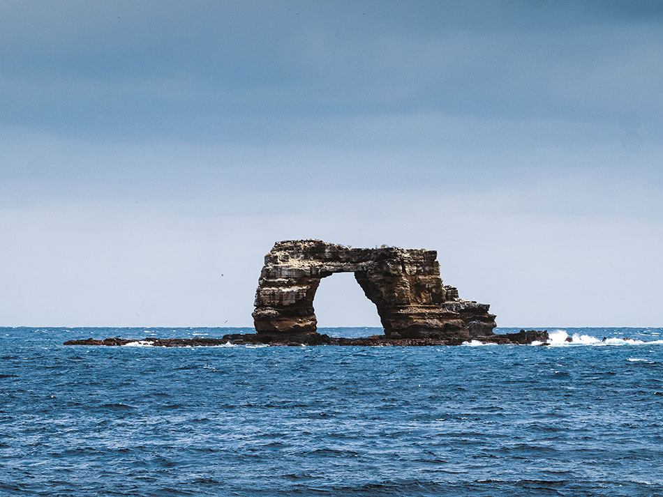 Galapagos Biodiversität 17
